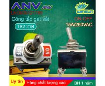 ANV Công tắc gạt sắt ANV ON-OFF 4 chân TS2-21B Winsun