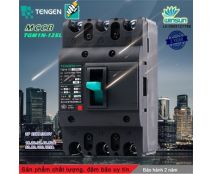 Aptomat Tengen MCCB TGM1N-125L 3 pha 16A~50A Winsun